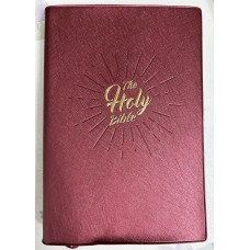 Holy Bible (NIV New International Version)