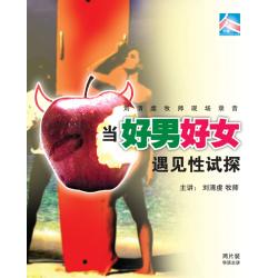 当好男好女人遇见性试探(2片CD)