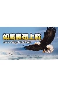精美圣经文相框(1)
