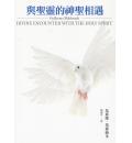 与圣灵的神圣相遇